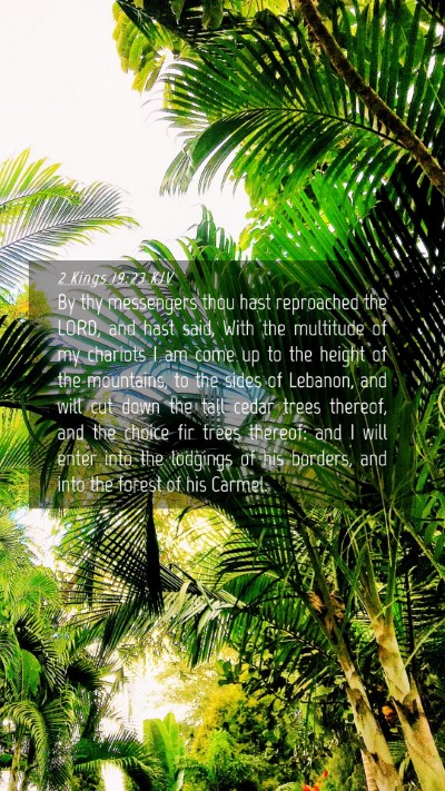 Picture 04 - 2 Kings 19:23 KJV Mobile Phone Wallpaper - By thy messengers thou hast reproached the LORD, - Mobile Bible Verse Wallpaper