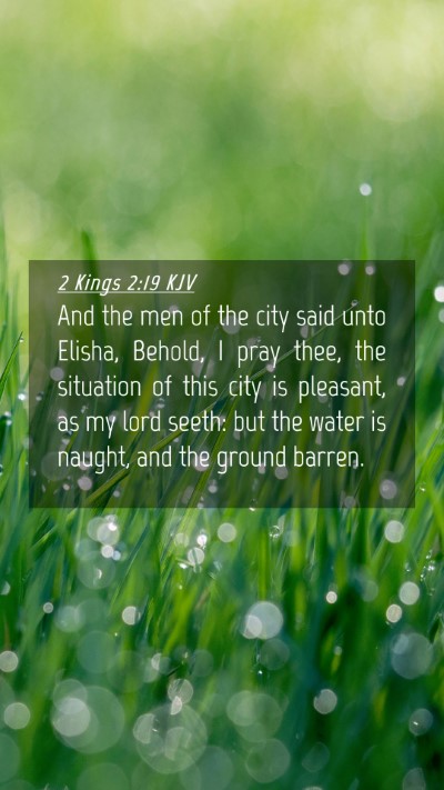 Picture 04 - 2 Kings 2:19 KJV Mobile Phone Wallpaper - And the men of the city said unto Elisha, Behold, - Mobile Bible Verse Wallpaper