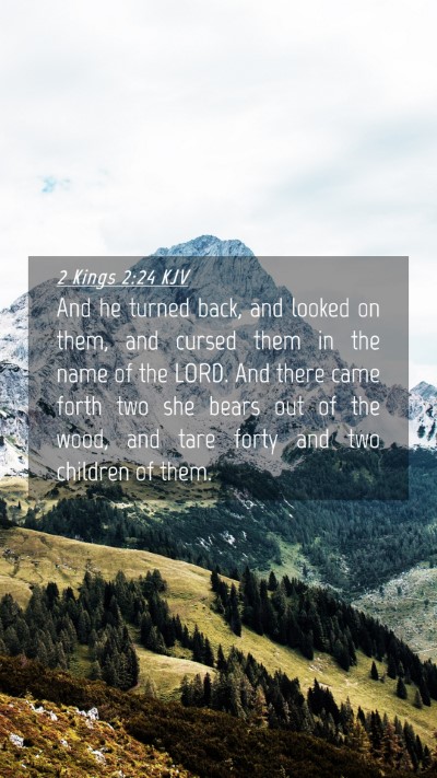 Picture 04 - 2 Kings 2:24 KJV Mobile Phone Wallpaper - And he turned back, and looked on them, and - Mobile Bible Verse Wallpaper