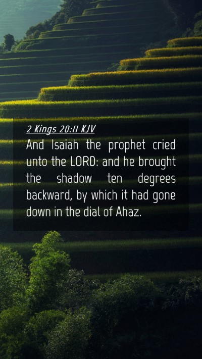 Picture 04 - 2 Kings 20:11 KJV Mobile Phone Wallpaper - And Isaiah the prophet cried unto the LORD: and - Mobile Bible Verse Wallpaper