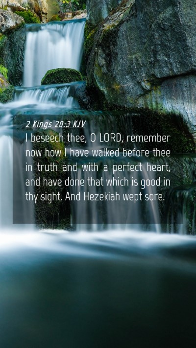 Picture 04 - 2 Kings 20:3 KJV Mobile Phone Wallpaper - I beseech thee, O LORD, remember now how I have - Mobile Bible Verse Wallpaper