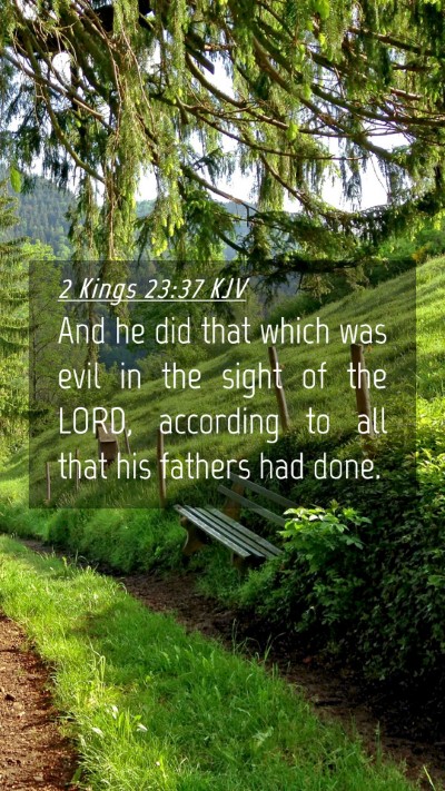 Picture 04 - 2 Kings 23:37 KJV Mobile Phone Wallpaper - And he did that which was evil in the sight of - Mobile Bible Verse Wallpaper