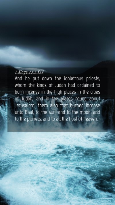 Picture 04 - 2 Kings 23:5 KJV Mobile Phone Wallpaper - And he put down the idolatrous priests, whom the - Mobile Bible Verse Wallpaper
