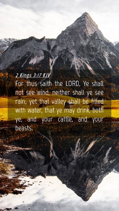 Picture 04 - 2 Kings 3:17 KJV Mobile Phone Wallpaper - For thus saith the LORD, Ye shall not see wind, - Mobile Bible Verse Wallpaper