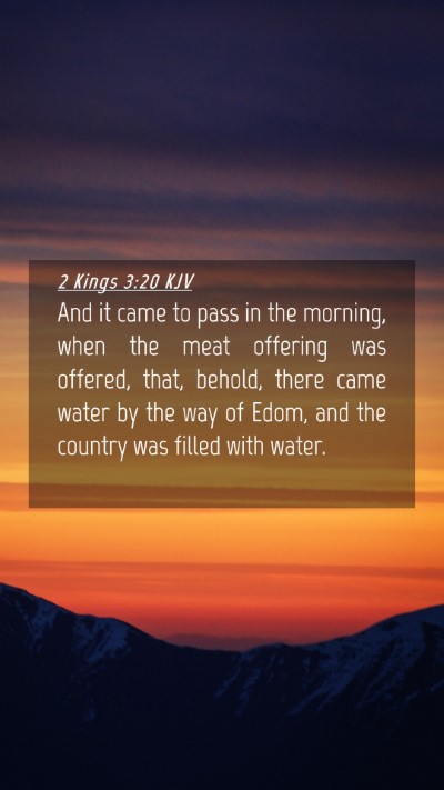 Picture 04 - 2 Kings 3:20 KJV Mobile Phone Wallpaper - And it came to pass in the morning, when the meat - Mobile Bible Verse Wallpaper