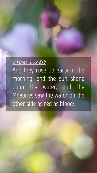 Picture 04 - 2 Kings 3:22 KJV Mobile Phone Wallpaper - And they rose up early in the morning, and the - Mobile Bible Verse Wallpaper