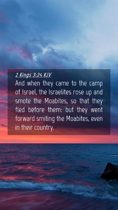 Picture 04 - 2 Kings 3:24 KJV Mobile Phone Wallpaper - And when they came to the camp of Israel, the - Mobile Bible Verse Wallpaper