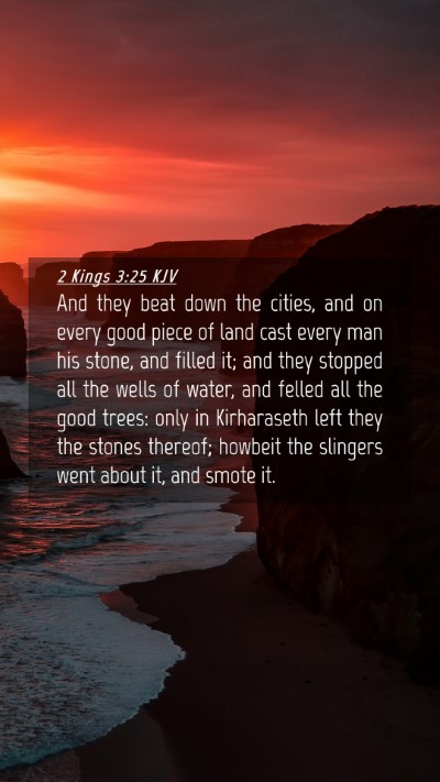 Picture 04 - 2 Kings 3:25 KJV Mobile Phone Wallpaper - And they beat down the cities, and on every good - Mobile Bible Verse Wallpaper