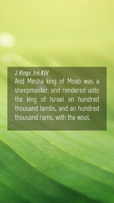 Picture 04 - 2 Kings 3:4 KJV Mobile Phone Wallpaper - And Mesha king of Moab was a sheepmaster, and - Mobile Bible Verse Wallpaper