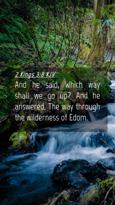 Picture 04 - 2 Kings 3:8 KJV Mobile Phone Wallpaper - And he said, Which way shall we go up? And he - Mobile Bible Verse Wallpaper