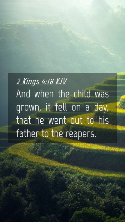 Picture 04 - 2 Kings 4:18 KJV Mobile Phone Wallpaper - And when the child was grown, it fell on a day, - Mobile Bible Verse Wallpaper