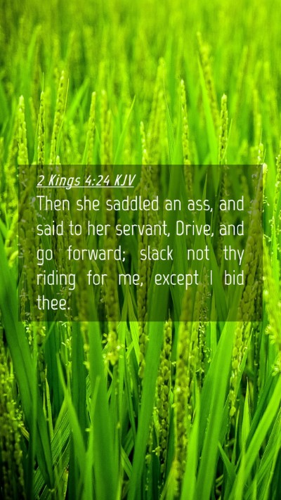 Picture 04 - 2 Kings 4:24 KJV Mobile Phone Wallpaper - Then she saddled an ass, and said to her servant, - Mobile Bible Verse Wallpaper