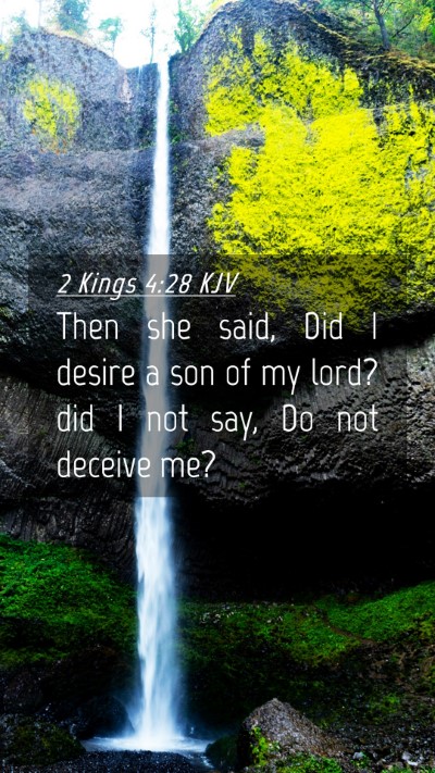 Picture 04 - 2 Kings 4:28 KJV Mobile Phone Wallpaper - Then she said, Did I desire a son of my lord? did - Mobile Bible Verse Wallpaper