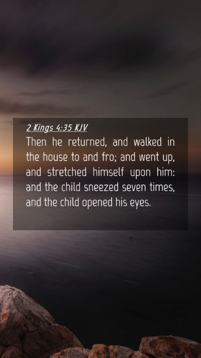 Picture 04 - 2 Kings 4:35 KJV Mobile Phone Wallpaper - Then he returned, and walked in the house to and - Mobile Bible Verse Wallpaper