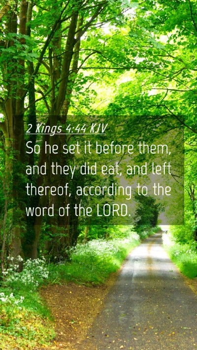 Picture 04 - 2 Kings 4:44 KJV Mobile Phone Wallpaper - So he set it before them, and they did eat, and - Mobile Bible Verse Wallpaper