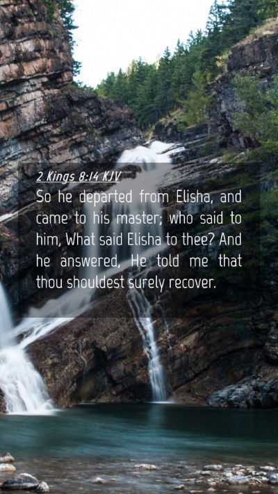 Picture 04 - 2 Kings 8:14 KJV Mobile Phone Wallpaper - So he departed from Elisha, and came to his - Mobile Bible Verse Wallpaper