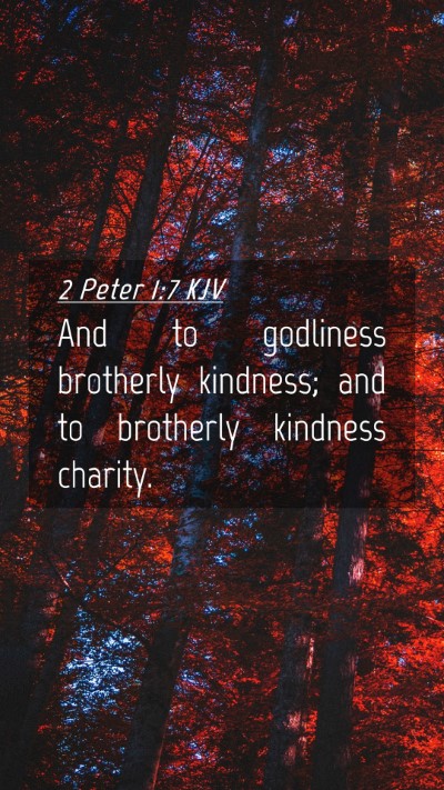 Picture 04 - 2 Peter 1:7 KJV Mobile Phone Wallpaper - And to godliness brotherly kindness; and to - Mobile Bible Verse Wallpaper