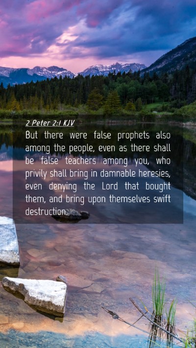 Picture 04 - 2 Peter 2:1 KJV Mobile Phone Wallpaper - But there were false prophets also among the - Mobile Bible Verse Wallpaper