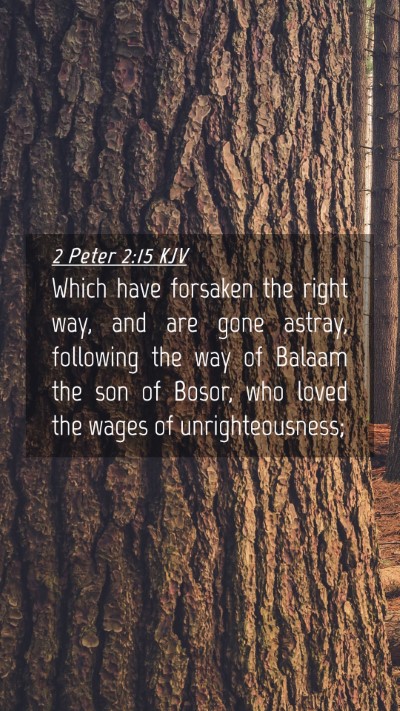 Picture 04 - 2 Peter 2:15 KJV Mobile Phone Wallpaper - Which have forsaken the right way, and are gone - Mobile Bible Verse Wallpaper