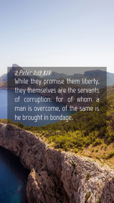 Picture 04 - 2 Peter 2:19 KJV Mobile Phone Wallpaper - While they promise them liberty, they themselves - Mobile Bible Verse Wallpaper