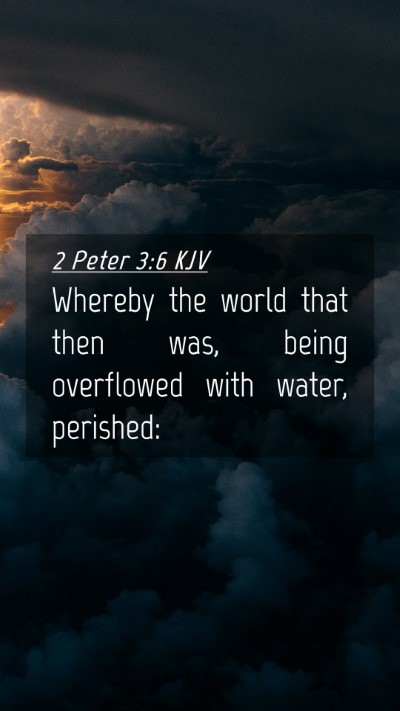 Picture 04 - 2 Peter 3:6 KJV Mobile Phone Wallpaper - Whereby the world that then was, being overflowed - Mobile Bible Verse Wallpaper