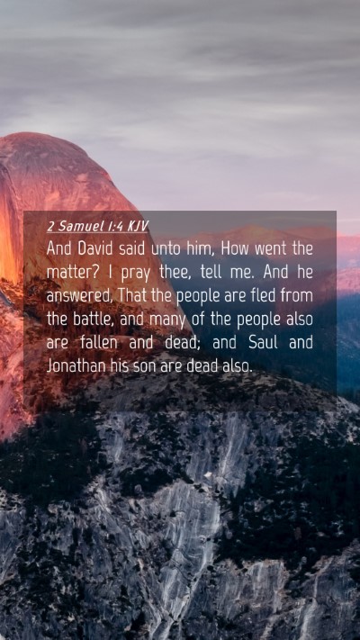 Picture 04 - 2 Samuel 1:4 KJV Mobile Phone Wallpaper - And David said unto him, How went the matter? I - Mobile Bible Verse Wallpaper