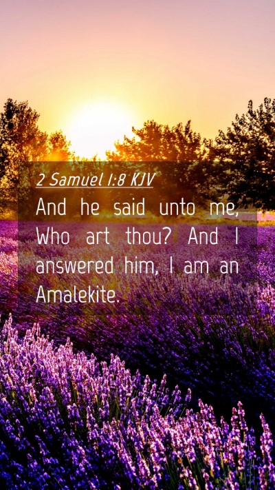 Picture 04 - 2 Samuel 1:8 KJV Mobile Phone Wallpaper - And he said unto me, Who art thou? And I answered - Mobile Bible Verse Wallpaper