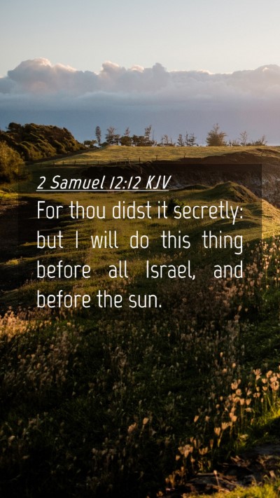Picture 04 - 2 Samuel 12:12 KJV Mobile Phone Wallpaper - For thou didst it secretly: but I will do this - Mobile Bible Verse Wallpaper