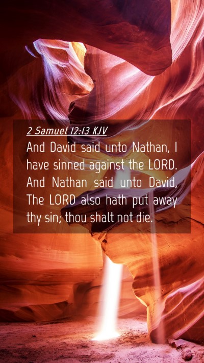 Picture 04 - 2 Samuel 12:13 KJV Mobile Phone Wallpaper - And David said unto Nathan, I have sinned against - Mobile Bible Verse Wallpaper
