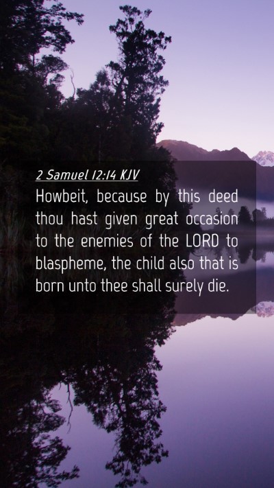 Picture 04 - 2 Samuel 12:14 KJV Mobile Phone Wallpaper - Howbeit, because by this deed thou hast given - Mobile Bible Verse Wallpaper
