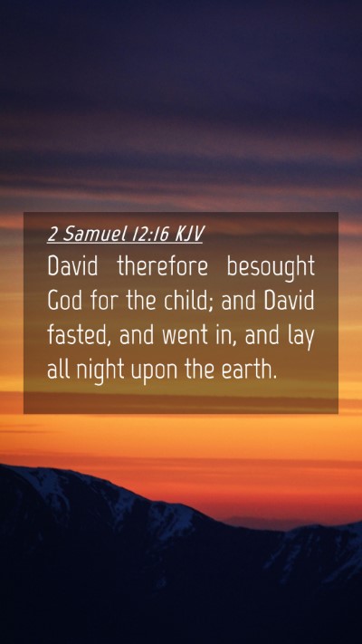 Picture 04 - 2 Samuel 12:16 KJV Mobile Phone Wallpaper - David therefore besought God for the child; and - Mobile Bible Verse Wallpaper