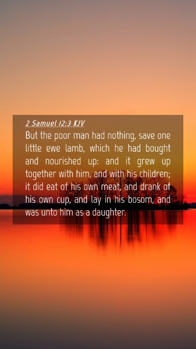 Picture 04 - 2 Samuel 12:3 KJV Mobile Phone Wallpaper - But the poor man had nothing, save one little ewe - Mobile Bible Verse Wallpaper