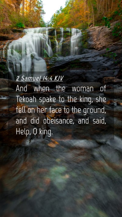 Picture 04 - 2 Samuel 14:4 KJV Mobile Phone Wallpaper - And when the woman of Tekoah spake to the king, - Mobile Bible Verse Wallpaper