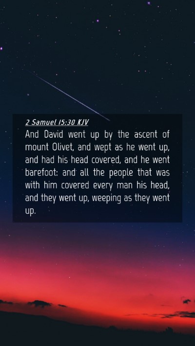 Picture 04 - 2 Samuel 15:30 KJV Mobile Phone Wallpaper - And David went up by the ascent of mount Olivet, - Mobile Bible Verse Wallpaper