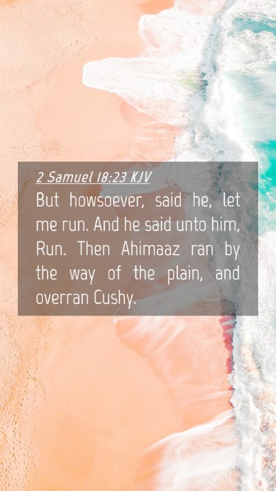 Picture 04 - 2 Samuel 18:23 KJV Mobile Phone Wallpaper - But howsoever, said he, let me run. And he said - Mobile Bible Verse Wallpaper