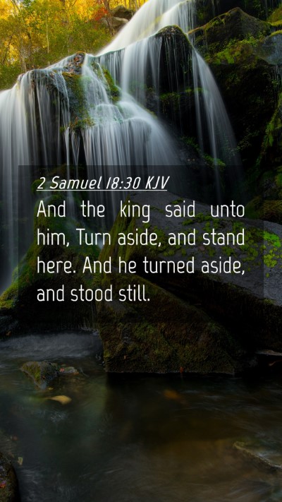 Picture 04 - 2 Samuel 18:30 KJV Mobile Phone Wallpaper - And the king said unto him, Turn aside, and stand - Mobile Bible Verse Wallpaper