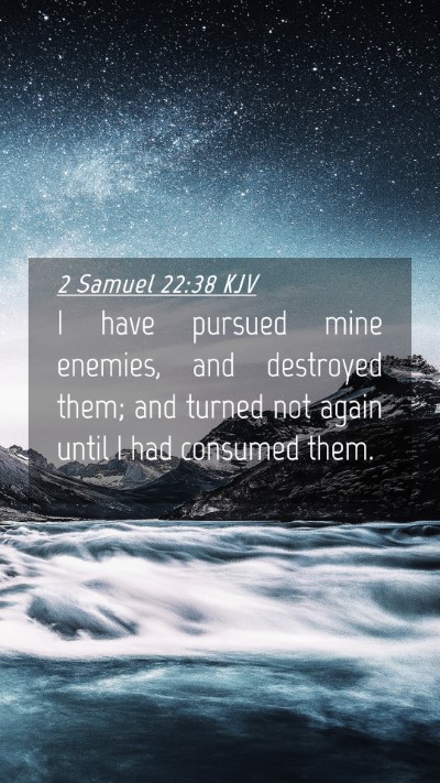 Picture 04 - 2 Samuel 22:38 KJV Mobile Phone Wallpaper - I have pursued mine enemies, and destroyed them; - Mobile Bible Verse Wallpaper