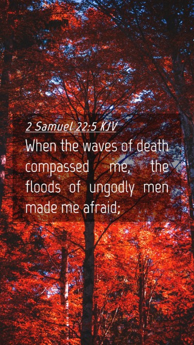 Picture 04 - 2 Samuel 22:5 KJV Mobile Phone Wallpaper - When the waves of death compassed me, the floods - Mobile Bible Verse Wallpaper