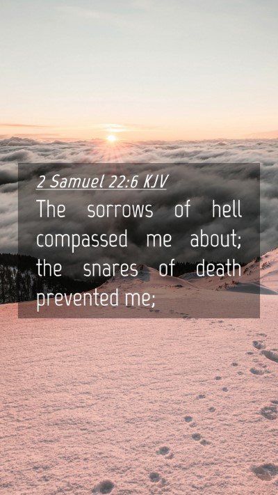 Picture 04 - 2 Samuel 22:6 KJV Mobile Phone Wallpaper - The sorrows of hell compassed me about; the - Mobile Bible Verse Wallpaper