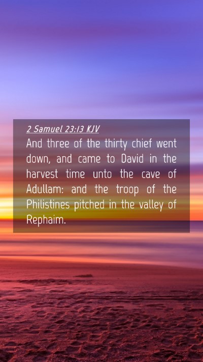 Picture 04 - 2 Samuel 23:13 KJV Mobile Phone Wallpaper - And three of the thirty chief went down, and came - Mobile Bible Verse Wallpaper