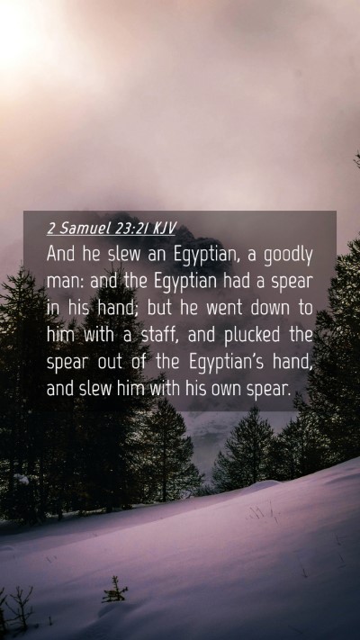 Picture 04 - 2 Samuel 23:21 KJV Mobile Phone Wallpaper - And he slew an Egyptian, a goodly man: and the - Mobile Bible Verse Wallpaper