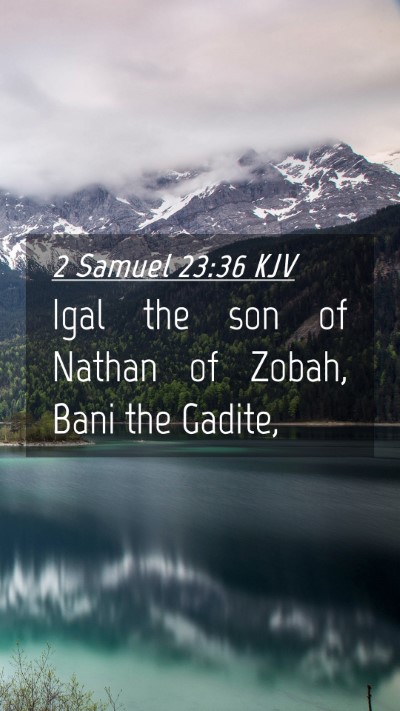 Picture 04 - 2 Samuel 23:36 KJV Mobile Phone Wallpaper - Igal the son of Nathan of Zobah, Bani the - Mobile Bible Verse Wallpaper