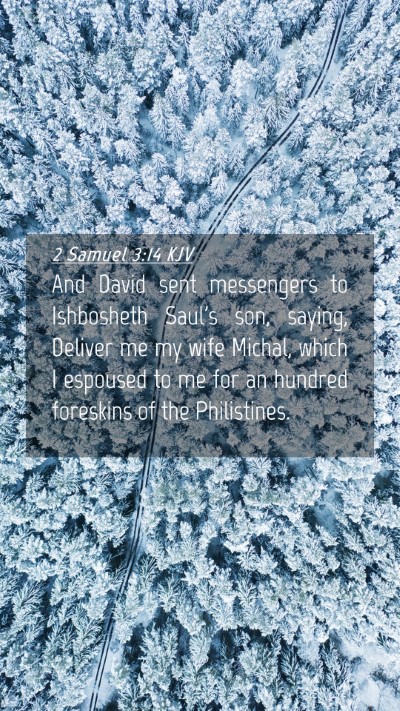 Picture 04 - 2 Samuel 3:14 KJV Mobile Phone Wallpaper - And David sent messengers to Ishbosheth Saul's - Mobile Bible Verse Wallpaper