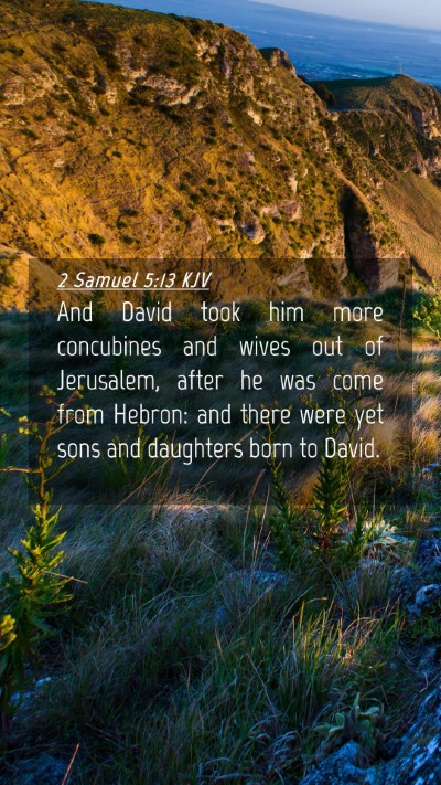 Picture 04 - 2 Samuel 5:13 KJV Mobile Phone Wallpaper - And David took him more concubines and wives out - Mobile Bible Verse Wallpaper