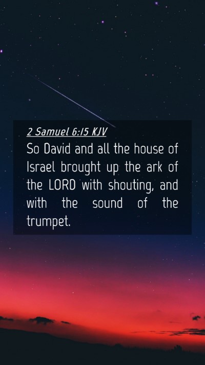Picture 04 - 2 Samuel 6:15 KJV Mobile Phone Wallpaper - So David and all the house of Israel brought up - Mobile Bible Verse Wallpaper
