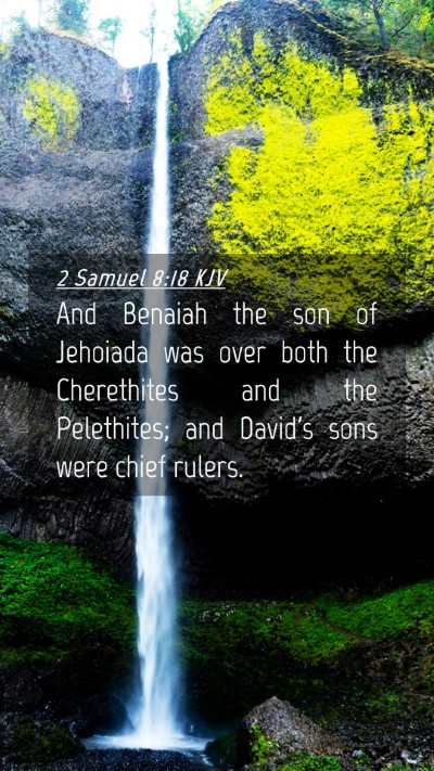 Picture 04 - 2 Samuel 8:18 KJV Mobile Phone Wallpaper - And Benaiah the son of Jehoiada was over both the - Mobile Bible Verse Wallpaper