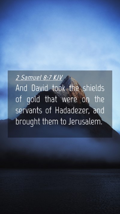 Picture 04 - 2 Samuel 8:7 KJV Mobile Phone Wallpaper - And David took the shields of gold that were on - Mobile Bible Verse Wallpaper