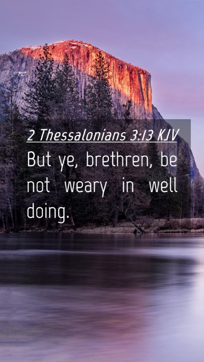 Picture 04 - 2 Thessalonians 3:13 KJV Mobile Phone Wallpaper - But ye, brethren, be not weary in well - Mobile Bible Verse Wallpaper