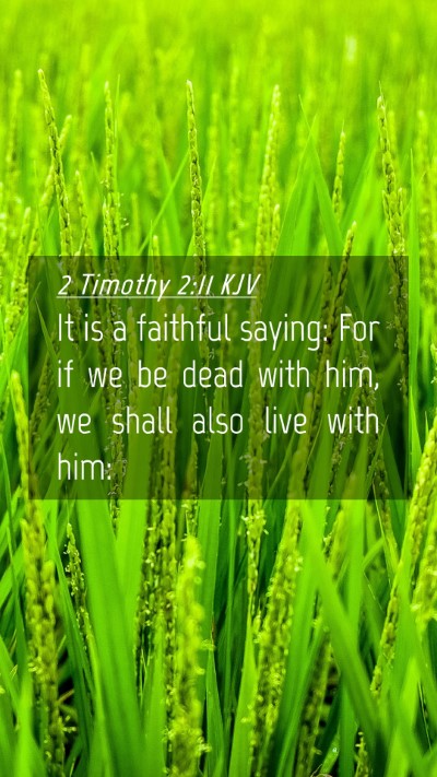 Picture 04 - 2 Timothy 2:11 KJV Mobile Phone Wallpaper - It is a faithful saying: For if we be dead with - Mobile Bible Verse Wallpaper