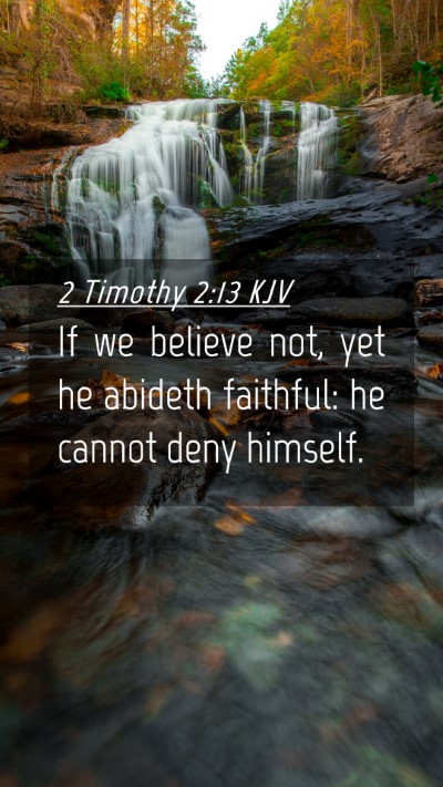 Picture 04 - 2 Timothy 2:13 KJV Mobile Phone Wallpaper - If we believe not, yet he abideth faithful: he - Mobile Bible Verse Wallpaper